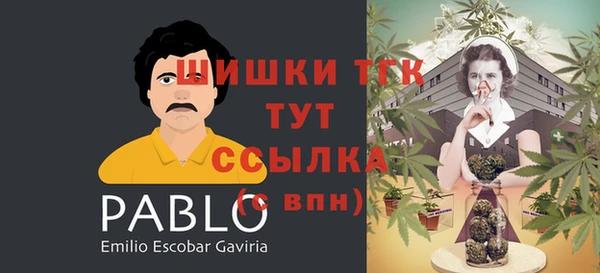 круглые Аркадак