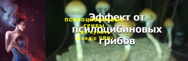 круглые Аркадак